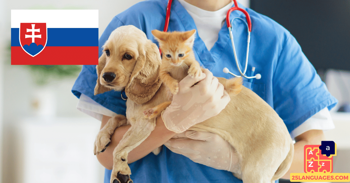 Learn Slovak - Phrases At the veterinarian