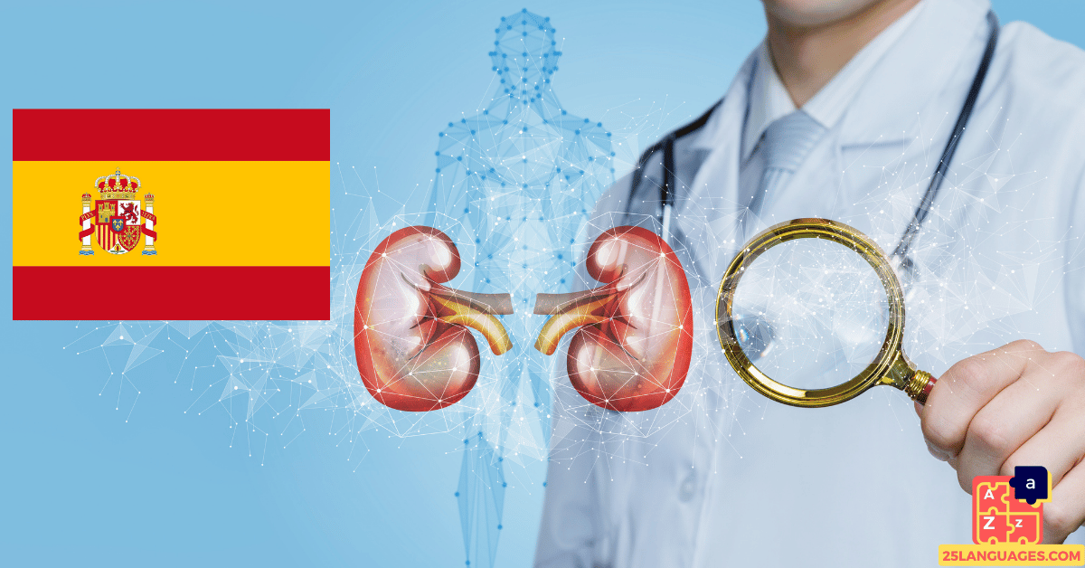 Learn Spanish - Diseases