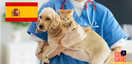 Learn Spanish - Phrases At the veterinarian