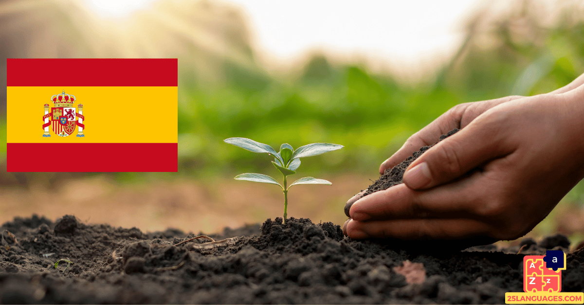 Learn Spanish - Plants