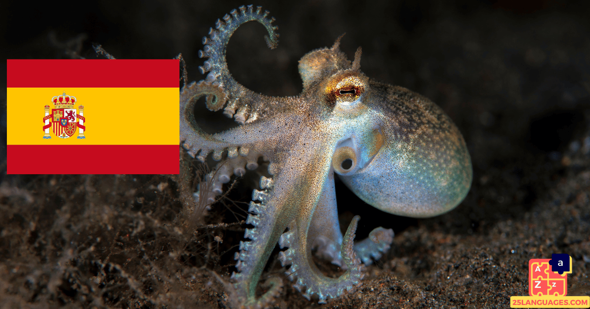 Learn Spanish - Names of Marine Creatures