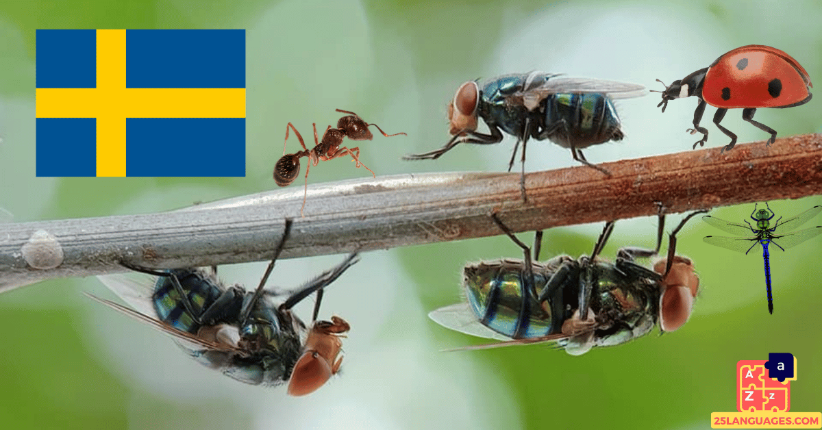 Learn Swedish - Insects