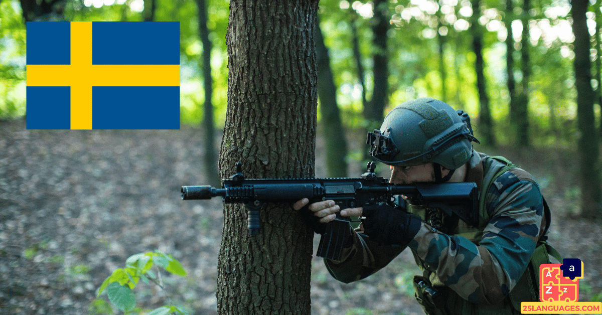 Learn Swedish - Military System
