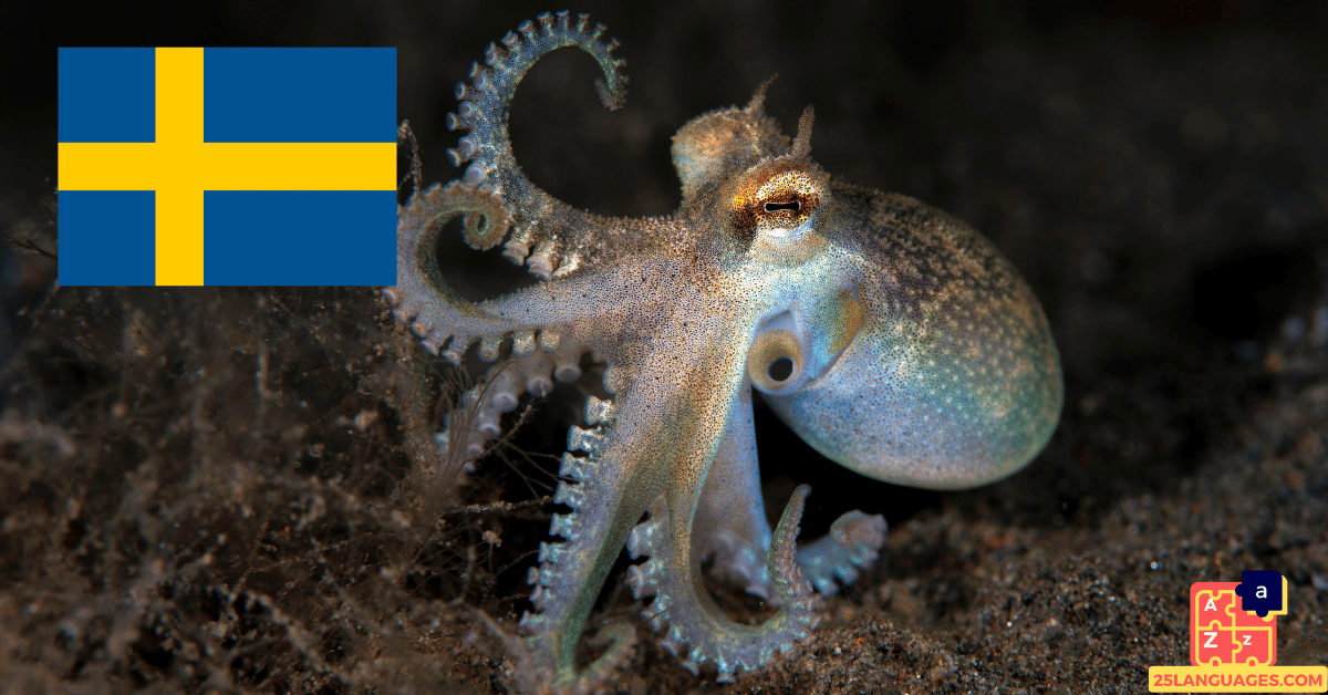 Learn Swedish - Names of Marine Creatures