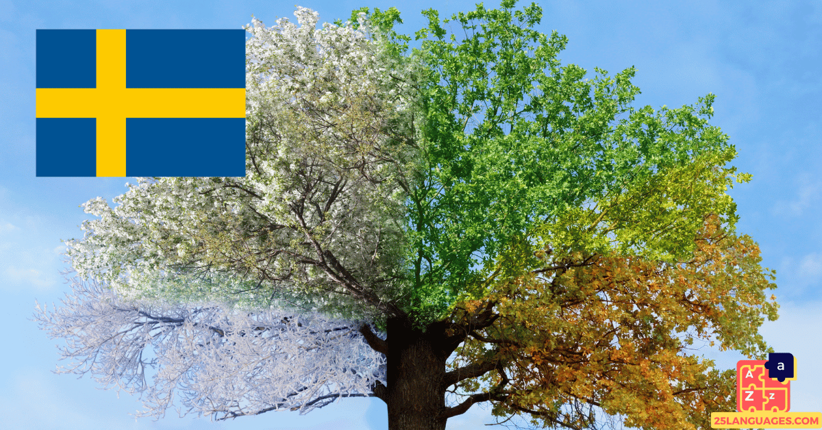Learn Swedish - Seasons and Months