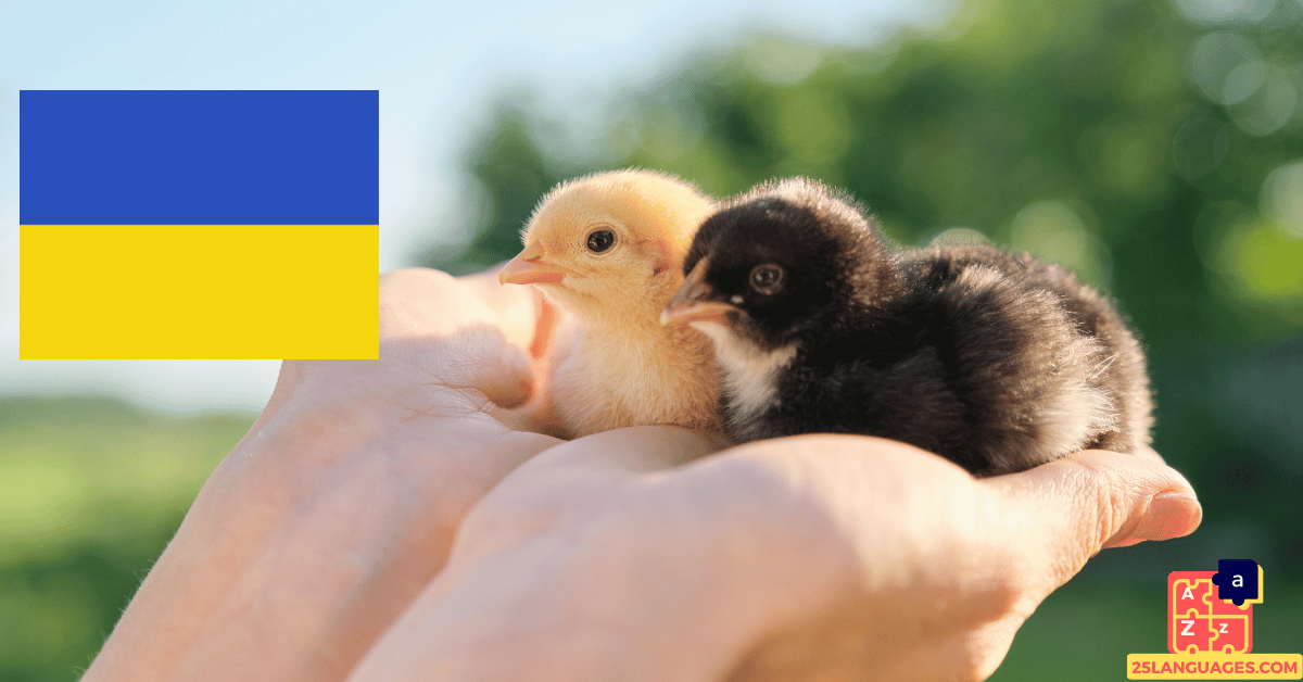 Learn Ukrainian - Names of Young Animals