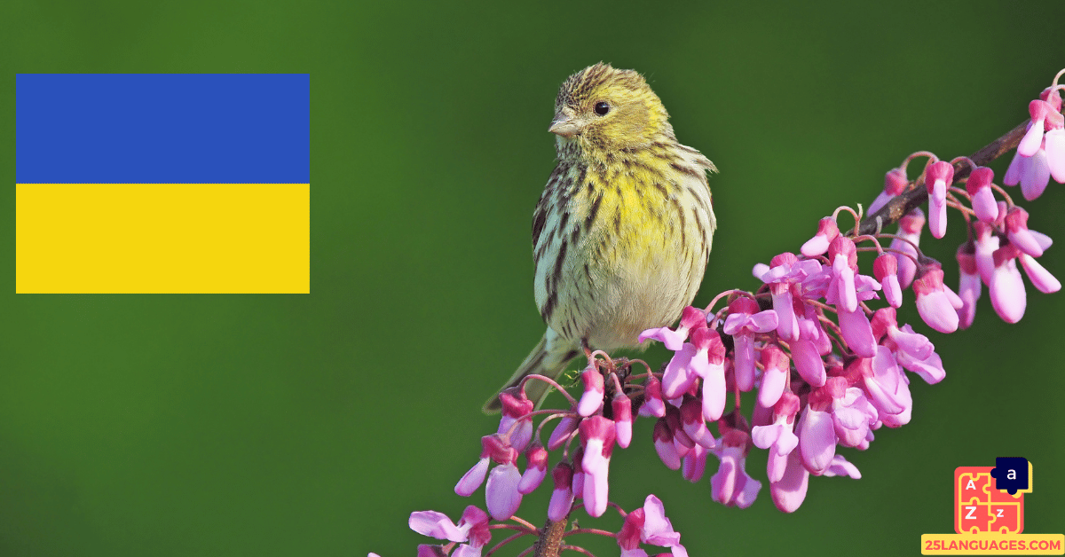 Learn Ukrainian - Birds Names