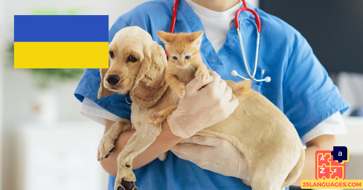 Learn Ukrainian - Phrases At the veterinarian